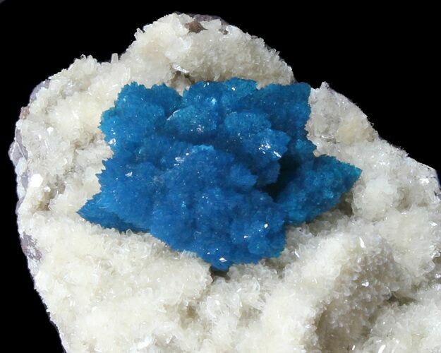 Large Cavansite Cluster on Stilbite - India #39014